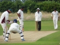 2014 July 12 Mawji Tyagi v Bharat 2nd XI (H) (2) (Web)