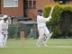 2015 May 9 D Hearne v Bharat 1st XI (A) (6) (Web)