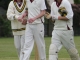 2015 May 9 Newnham Ashtons v Bharat 1st XI (A) (Web)