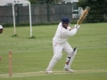 2015 May 9 D Hearne v Bharat 1st XI (A) (11) (Web)